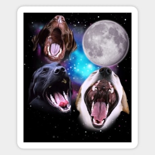 Three Labs Howl at the Moon Magnet